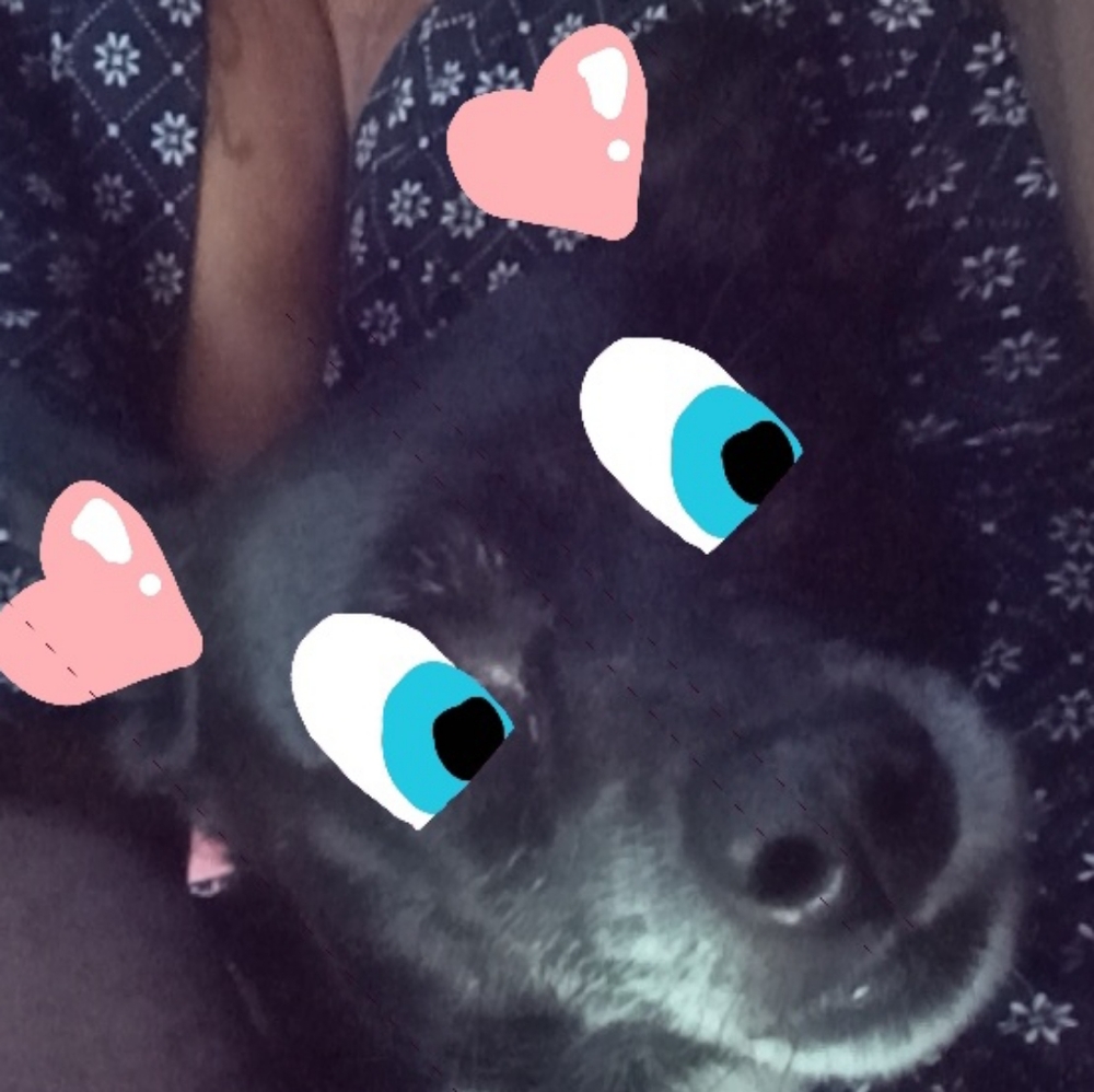 Meet your Posher, Beautyfull